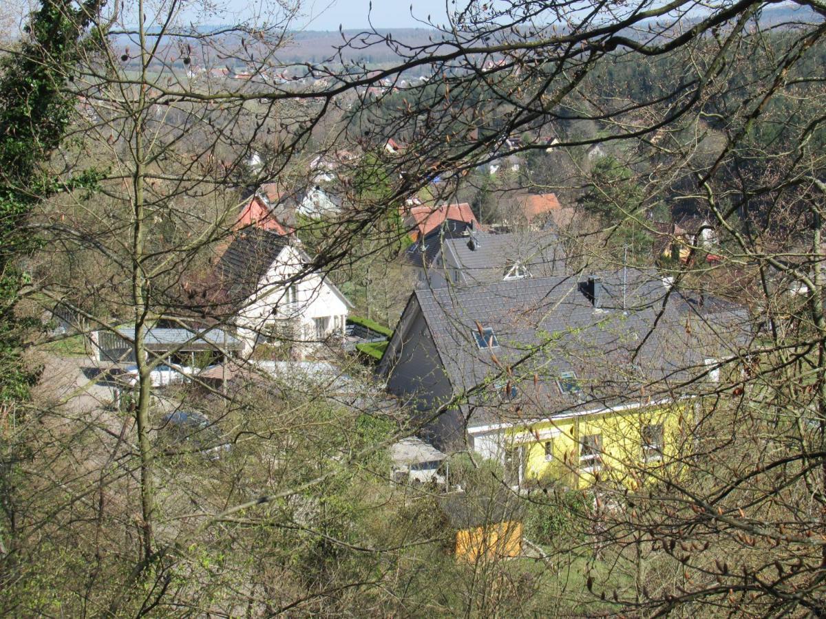 Le Clos D'Aure. Oberhaslach Exterior photo
